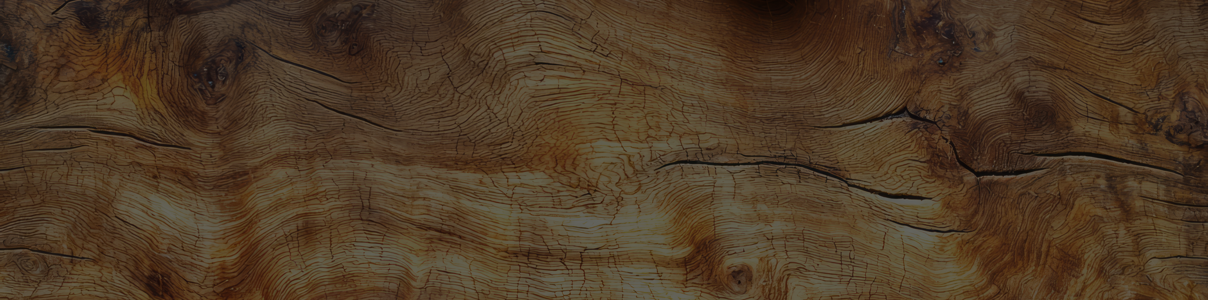 Jetzt zum Newsletter anmelden