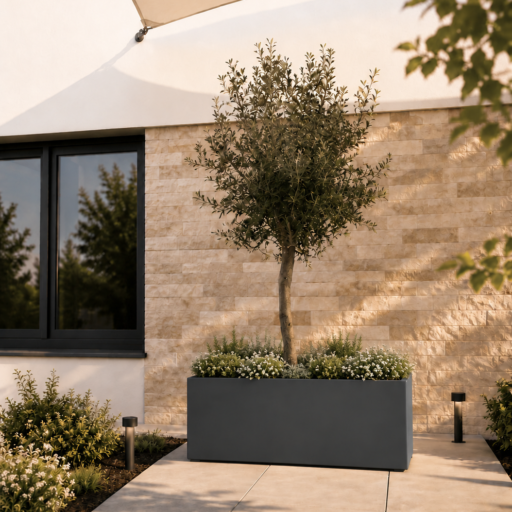 MEBE Planty - Pflanztopf - Mit Bodenplatte - 100 x 50 x 40 cm - Anthrazitgrau Matt