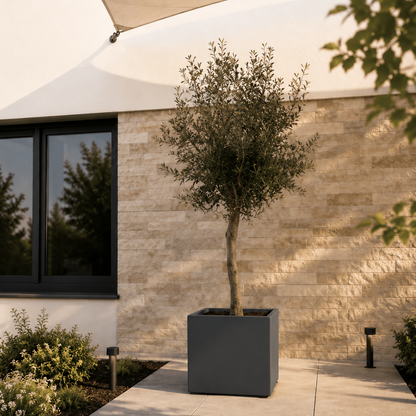 MEBE Planty - Pflanztopf - Mit Bodenplatte - 50 x 50 x 40 cm - Anthrazitgrau Matt